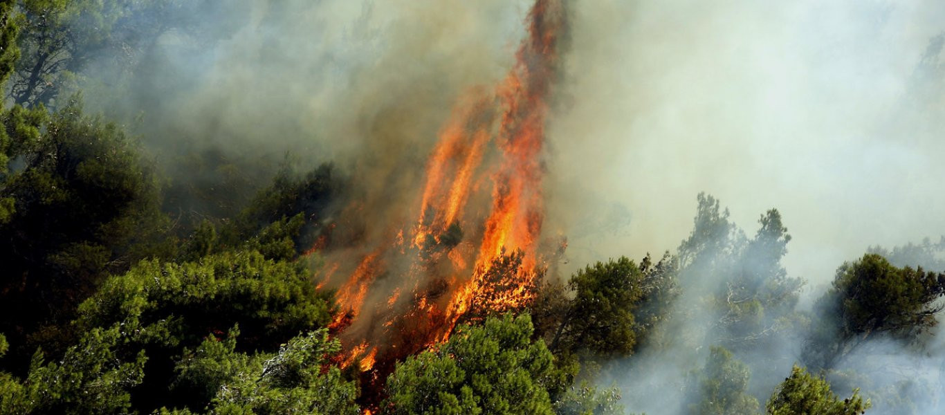 Πυρκαγιά σε δασική έκταση στην Αργολίδα